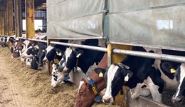 Brechin: CowSignals workshop