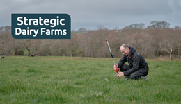 Helping farmers measure carbon: The environment baselining pilot