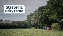 North Yorkshire: Digging into your dairy soils 