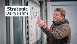 Devon: Autumn planning for profitable production