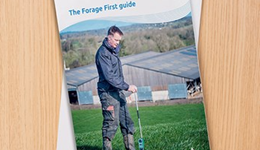 New grazing and forage calendar