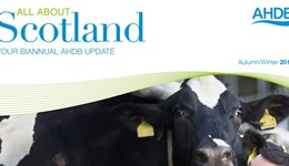 First edition of All About Scotland released