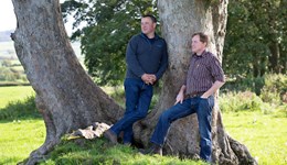 Driving profitability with your carbon audit