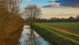 More about the Environment Baselining Pilot