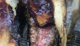 Digital dermatitis in cows’ feet
