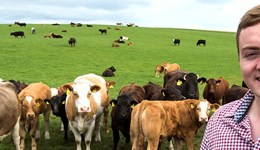 Moving into a different sector