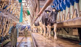 Dairy sector plan 2022–2027