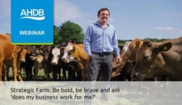 Strategic Farm: Be bold, be brave and ask 'does my business work for me?