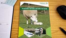 The National Maternal Breeding Evaluation