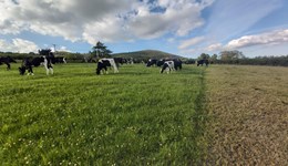 Meet Forage for Knowledge contributor David Lee