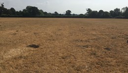 Dealing with drought on the grazing platform