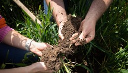 New guidance to make sense of soil health indicators