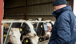 East York: Elite Beef Open Day