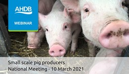 Small-scale producers National Meeting - 10 March 2021