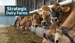 Lockerbie dairy farm transforms their business and boosts profitability