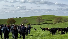 Latest Recommended List delivers boost to grass and clover performance