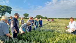 North West crops evening