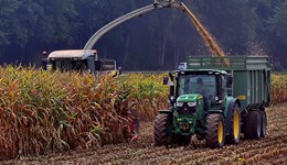 Harvest 2025 nears completion, but yields remain mixed across the UK: Grain market daily