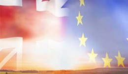 Global Britain: what is the trading outlook for agriculture post Brexit?