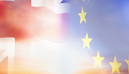 What might Brexit mean for Europe’s sheep meat importers?