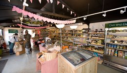 Webinar: Diversification or distraction?