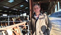 Ninezergh Farm - strategic farm launch