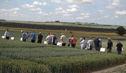 Kent: Growing resilience in winter wheat: AHDB and NIAB autumn agronomy series