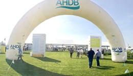 About AHDB Events