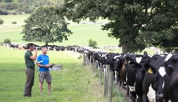 Preparing your herd for autumn