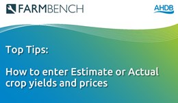 FARMBENCH: How to enter Estimate or Actual crop yields and prices
