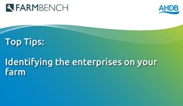 FARMBENCH: Identifying the enterprises on your farm