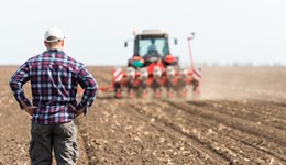 Cereals and oilseeds farmer: Brexit no-deal case study