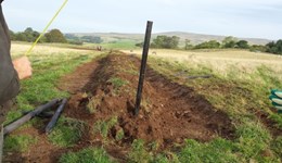 Getting started in agroforestry