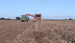 Feed grain report (March 2020)