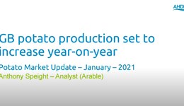 GB potato production set to increase year-on-year - Potato Market Update - January 2021