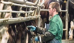 Coronavirus: dealing with staffing issues