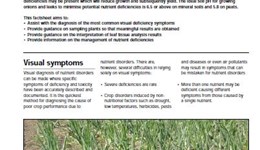 Interpretation of leaf nutrient analysis: Alliums 