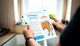 Beef breeding body condition scorecard