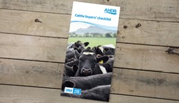 Cattle buyer's checklist