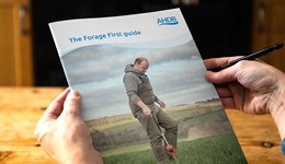 The Forage First guide