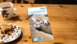 Understanding lambs and carcases