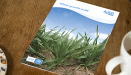 Wheat growth guide 