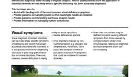 Interpretation of leaf nutrient analysis: carrots & parsnips
