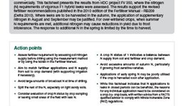 Nitrogen requirements for leeks