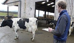  Webinar: Tackling lameness for healthier, more efficient cows