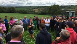 Tyddyn yr Eglwys strategic farm launch