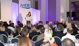 Tough times ahead but opportunities remain