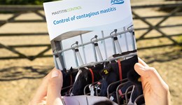 Dairy cows: controlling contagious mastitis  
