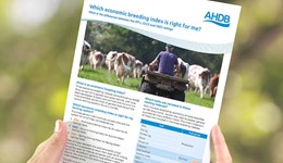 Which genetic ranking to use - £PLI, £SCI OR £ACI?