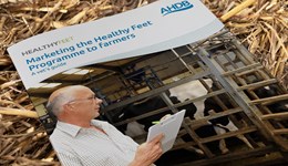Marketing the Healthy Feet Programme to farmers: A vet’s guide